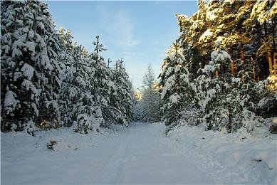 XGP十月新增游戏公布 《喋血复仇》等